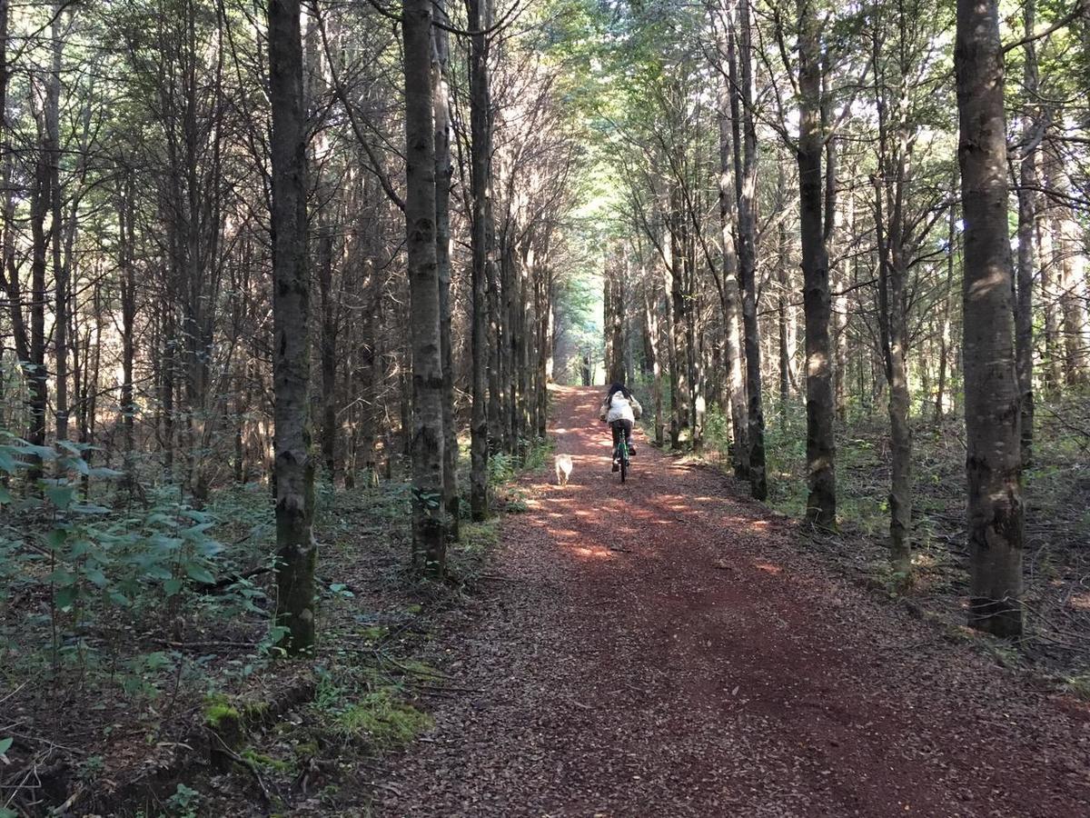 Treca Rupan Lodge Neltume Kültér fotó