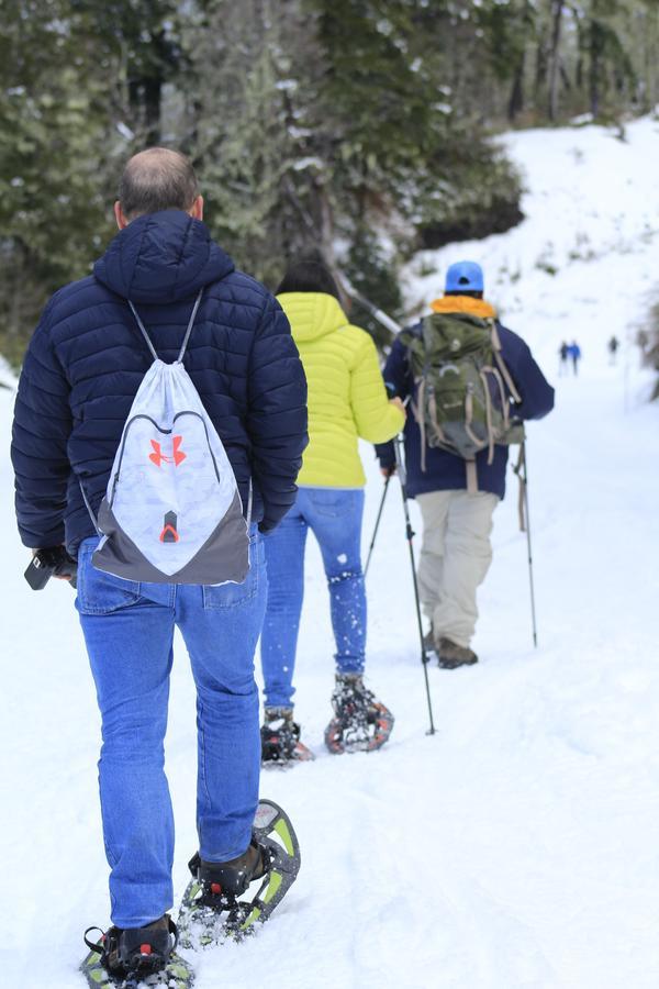 Treca Rupan Lodge Neltume Kültér fotó